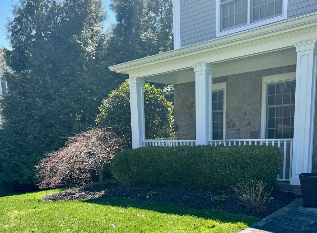 Front porch foundation bed with bare, struggling Japanese maple before renovation