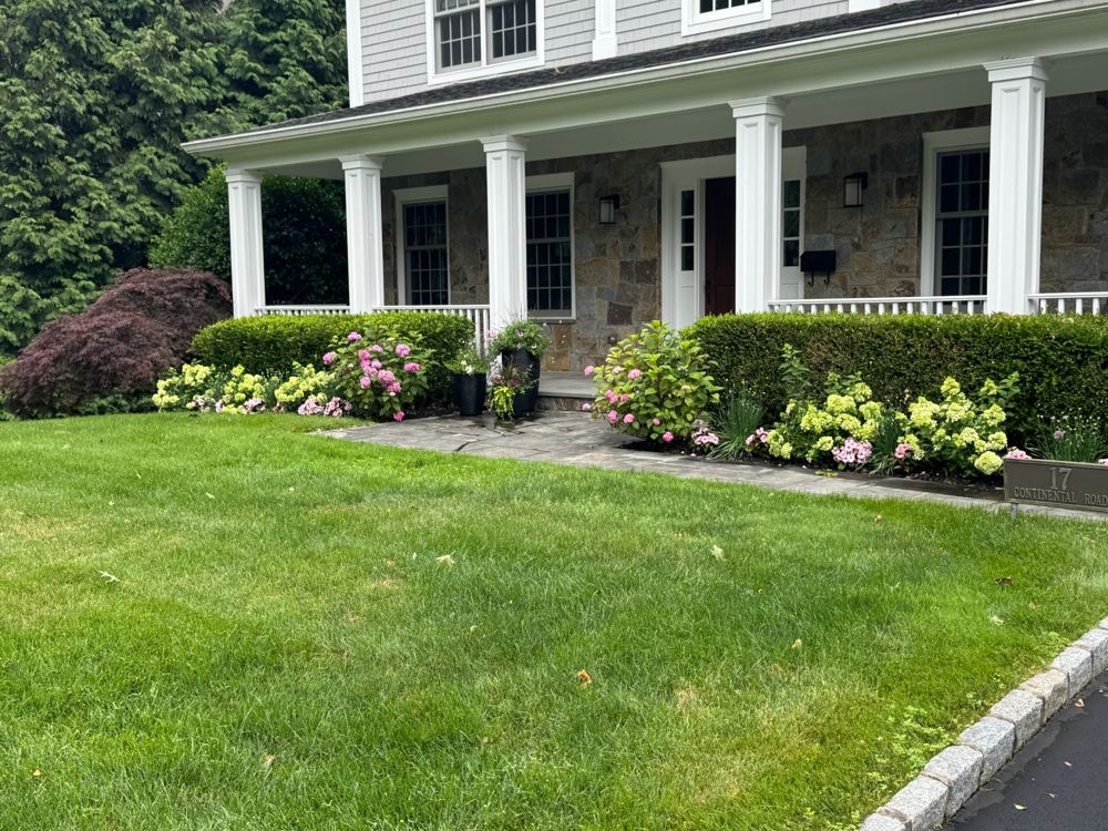 Front walkway lined with hydrangea, impatiens, and clipped hedges, completed