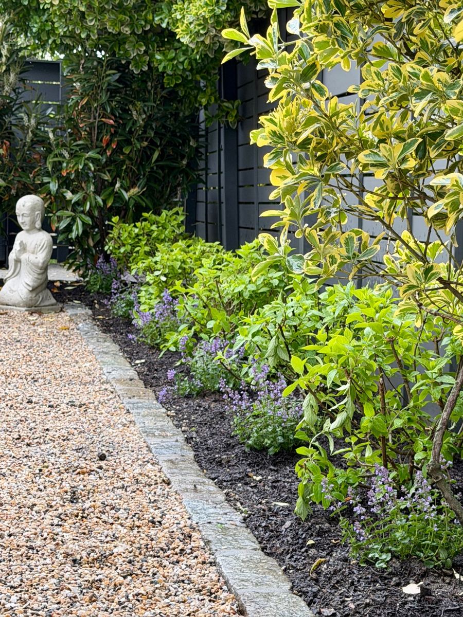 Gravel path with stone edging, a kneeling Buddha statue, and a border of catmint and variegated shrubs