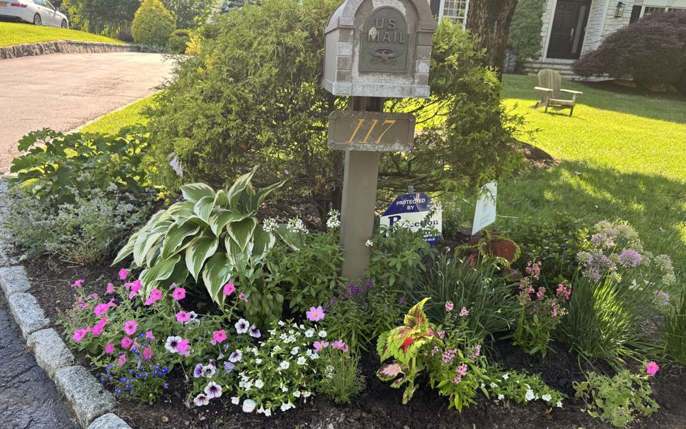 Mailbox post with pink petunias, hosta, and mixed perennials, completed, West Harrison