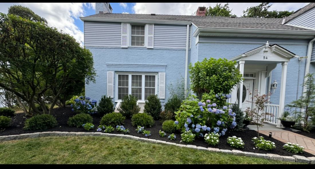 Same foundation with new hydrangea and shrub planting bed