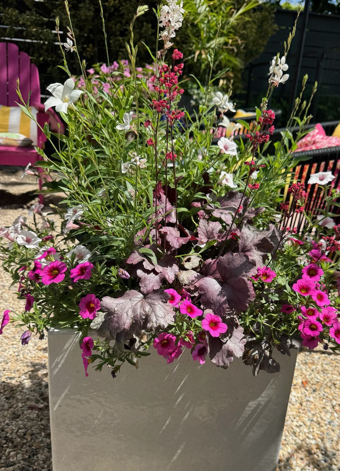 Tall planter with coral bells, white gaura, and magenta calibrachoa
