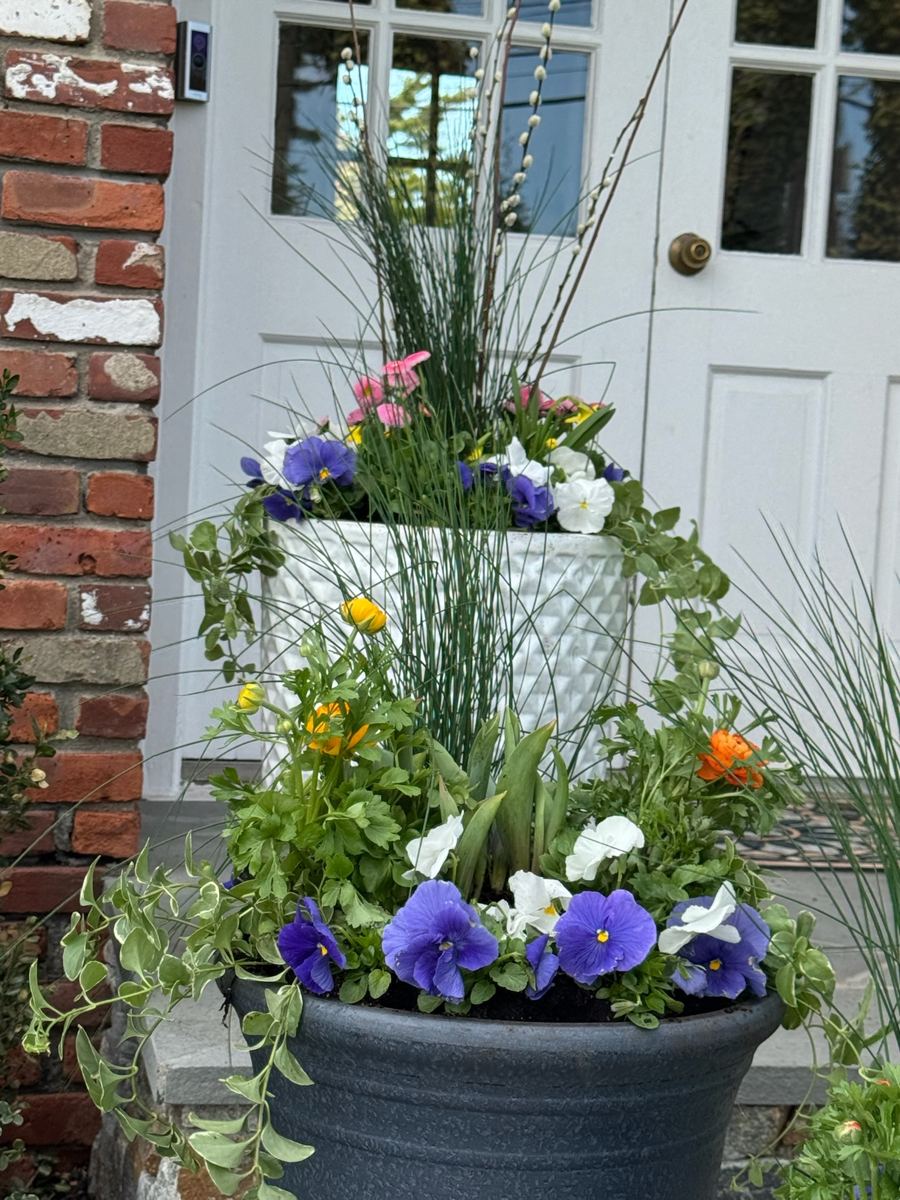 Tiered spring containers with pansies, ranunculus, and pussy willow branches by the front door